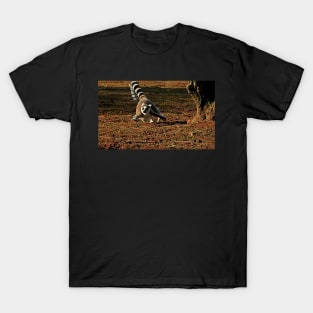 Flight of the Lemur T-Shirt